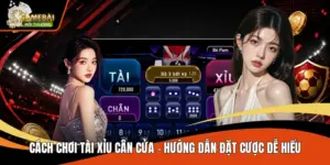 Cách Chơi Tài Xỉu Cân Cửa - Hướng Dẫn Đặt Cược Dễ Hiểu