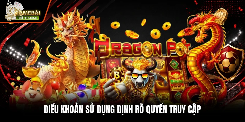 Điều khoản sử dụng định rõ quyền truy cập